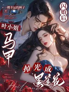 闪婚妻约:叶少的暖心新娘